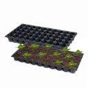 Seedling Trays for Plants - 50 Cavities (Pack of 5) | 2X Thicker, Durable & Reusable Germination Tray for Farms & Kitchen Gardens